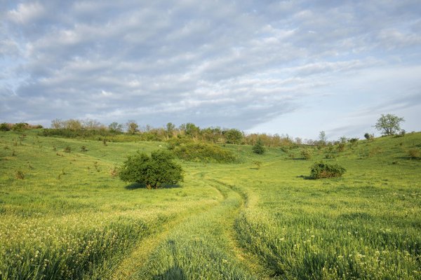 Séjournez au camping à dinan : détente et plaisirs en plein air
