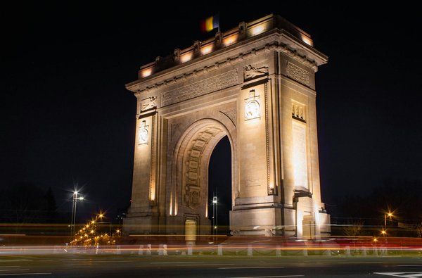 Quels sont les meilleurs spots pour une plongée avec les dauphins en Nouvelle-Zélande?