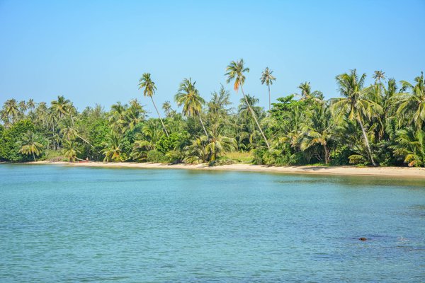 Où participer à des ateliers de fabrication de tapis en Turquie?