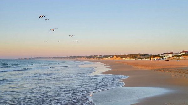 Découvrez votre oasis : location vacances à soulac-sur-mer